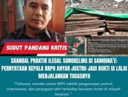 Skandal Praktik Ilegal Sonokeling di Sambina’e: Pernyataan Kepala BKPH Ahyar Justru Jadi Bukti Ia Lalai Menjalankan Tugasnya