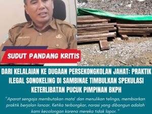Dari Kelalaian ke Dugaan Persekongkolan Jahat: Praktik Ilegal Sonokeling di Sambinae Timbulkan Spekulasi Keterlibatan Pucuk Pimpinan BKPH