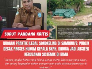 Dugaan Praktik Ilegal Sonokeling di Sambina’e: Publik Desak Proses Hukum Kepala BKPH, Diduga Jadi Arsitek Kerusakan Sistemik di Bima