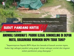 Anomali Sambina’e: Pabrik Ilegal Sonokeling di Depan Mata, Bagaimana Mungkin BKPH Tidak Tahu?