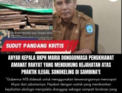 Ahyar Kepala BKPH Maria Donggomasa Pengkhianat Amanat Rakyat Yang Mendukung Kejahatan Atas Praktik Ilegal Sonokeling di Sambina’e 