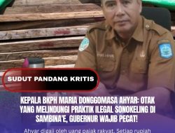 Kepala BKPH Maria Donggomasa Ahyar: Otak Yang Melindungi Praktik Ilegal Sonokeling di Sambina’e, Gubernur Wajib Pecat! 
