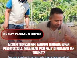 Misteri Terpecahkan! Wahyoni Ternyata Bukan Predator Solo, Melainkan ‘Pion Raja’ di Kerajaan Tak Terlihat?