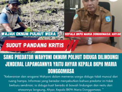 Sang Predator Wahyoni Oknum Polhut Diduga Dilindungi Jenderal Lapangannya Yaitu Ahyar Kepala BKPH Maria Donggomasa
