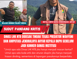 Dinas LHK NTB Didesak Tindak Tegas Predator Wahyoni dan Amputasi Jendralnya Ahyar Kepala BKPH Sebelum Jadi Kanker Ganas Institusi