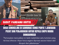 Dosa Sonokeling di Sambinae Cuma Punya 1 Jawaban: PECAT dan PENJARAKAN Ahyar Kepala BKPH Maria Donggomasa