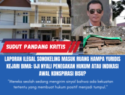 Laporan Ilegal Sonokeling Masuk Ruang Hampa Yuridis Kejari Bima: Uji Nyali Penegakan Hukum atau Indikasi Awal Konspirasi Bisu?