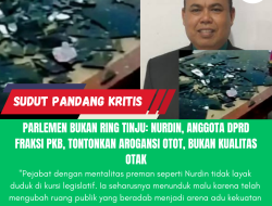 Parlemen Bukan Ring Tinju: Nurdin, Anggota DPRD Fraksi PKB, Tontonkan Arogansi Otot, Bukan Kualitas Otak