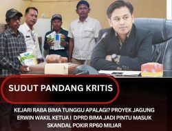 Kejari Raba Bima Tunggu Apalagi? Proyek Jagung Erwin Wakil Ketua I DPRD Bima Jadi Pintu Masuk Skandal Pokir Rp60 Miliar