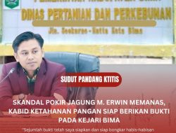 Skandal Pokir Jagung M. Erwin Memanas, Kabid Ketahanan Pangan Siap Berikan Bukti Pada Kejari Bima