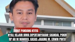 Nyali Kejari Bima Dipertanyakan! Skandal Pokir Rp 60 M Mandek, Kasus Jagung M. Erwin Pintu Masuk Dibiarin