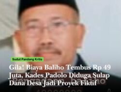 Gila! Biaya Baliho Tembus Rp 49 Juta, Kades Padolo Diduga Sulap Dana Desa 2024 Jadi Proyek Fiktif