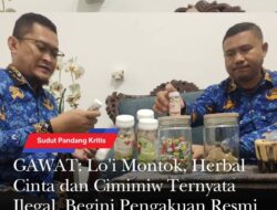 GAWAT: Lo’i Montok, Herbal Cinta dan Cimimiw Ternyata Ilegal, Begini Pengakuan Resmi Kepala BPOM Bima
