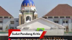 Temuan BPK 2024 Ungkap Borok Pengelolaan Pajak Walet di Kabupaten Bima, Ratusan Gedung Tak Berizin, Uang Negara Menguap